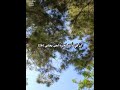من روائع الشيخ محمد الليثى سورة النازعات 