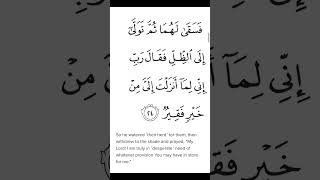 Surah Qasas Ayat 24 #shorts #quran #fatihseferagic