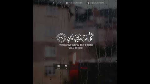 كل من عليها فان ويبقى وجه ربك ذو الجلال والإكرام || تلاوة راحة نفسية 💛إسلام صبحي