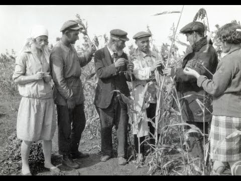 Лекция «Травелоги на идише как исторический источник о жизни советских евреев в 1930-е» | Д. Ялен