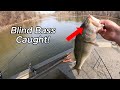CHUNK Largemouth Bass Catch!!