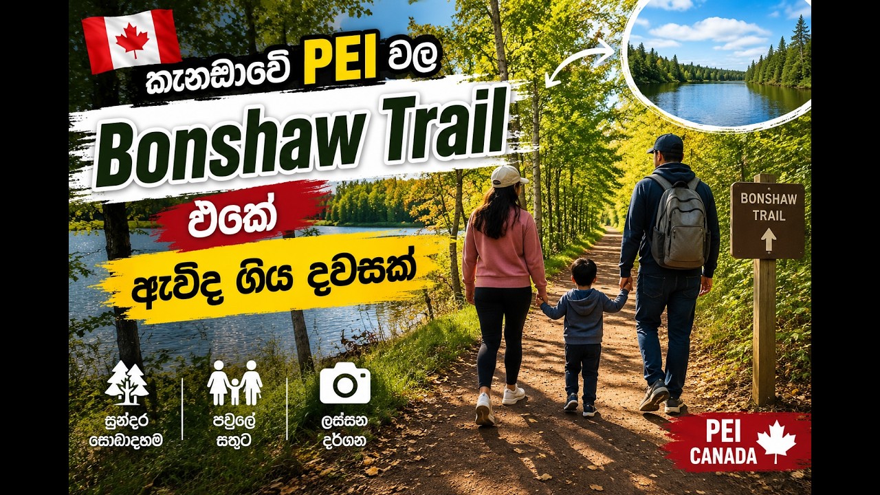 🍁 කැනඩාවේ PEI වල Bonshaw Trail එකේ ඇවිද ගිය දවසක් 🌲