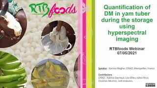 Quantification of Dry Matter in Yam Tuber During Storage, Using Hyperspectral Imaging