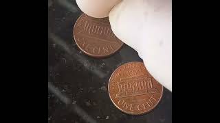 Old and valuable American cents 1970/ Viejos y valiosos centavos americanos 1970/سنتات امريكيه قيمه