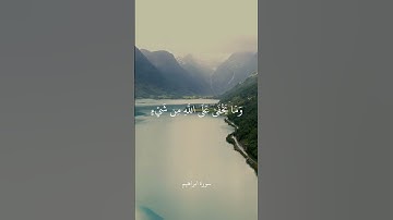 رَبَّنَا إِنَّكَ تَعْلَمُ مَا نُخْفِي وَمَا نُعْلِنُ || سورة ابراهيم || علي جابر