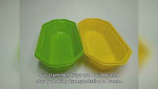 Boîte Demballage Jetable, Récipient Alimentaire En Plastique, Fabricant Chinois, Haute Qualité
