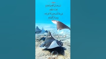تلاوة خاشعة عطرة مباركة جميلة عذبة للشيخ فارس عباد ماتيسر من سورة الكهف