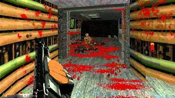 Brutal Doom Test (Software Mode)