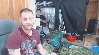 NÉGYHÚSZ SZÜRETI LIVE: APPLE FRITTER #2
