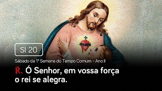 Salmo 20 Ó Senhor, em vossa força o rei se alegra (Sábado da 1ª Semana do Tempo Comum - Ano II) screenshot 3