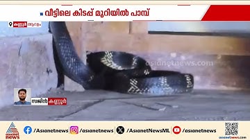 കട്ടിലിനടിയിൽ നിന്ന് അസ്വാഭാവിക ശബ്ദം, വീട്ടുകാർ ഞെട്ടി, കിട്ടിയത് രാജവെമ്പാലയെ | Kannur