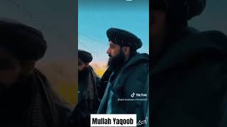 Mullah Yaqoob Attitude Status 2024 #afghan #afghanistan #attutude #statusvideo