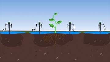 Cách hoạt động của hệ thống tưới nhỏ giọt | Maka.vn