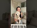 My dog reacts to my playing! 🥰🎹🐶 #Shorts YUVAL SALOMON