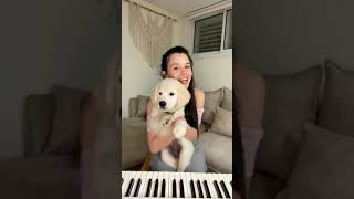 My dog reacts to my playing! 🥰🎹🐶 #Shorts YUVAL SALOMON