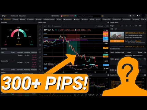 How this PMT User made 300 pips!!! // Prime Market Terminal Trade Submission EP.1