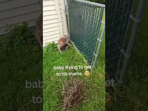 Woman Helps Baby