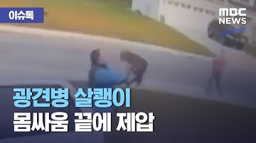 [이슈톡] 광견병 살쾡이 몸싸움 끝에 제압 (2021.04.21/뉴스투데이/MBC)
