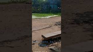 Haba Ka Ropbadal Na Jaae