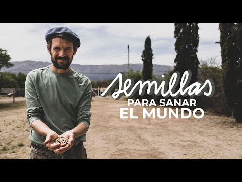 PRODUCEN SEMILLAS PARA SANAR LA TIERRA | biodinámica, pastoreo regenerativo, huerta y cosmos Descubre Cómo Obtener un Nuevo Producto a Partir de Otro