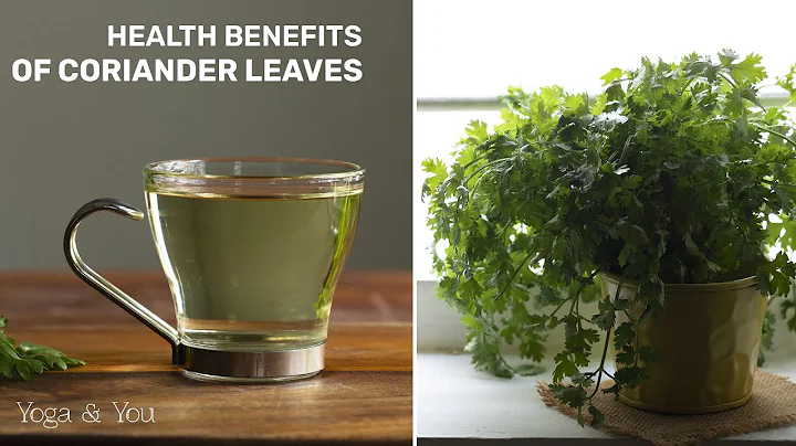 Health Benefits of Coriander Leaves | Coriander water | Boost Your Kidney Health | Coriander Secret - DayDayNews
