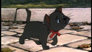 List of All 35 Disney Cats