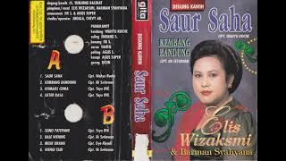 Elis Wizaksmi, Barman Syahyana & Tunjung Balebat Group - Saur Saha
