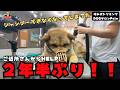 【初来店】北海道犬の飼い主さんが体調崩してから2年半シャンプーできずお世話をしていた近所の方からのHELP