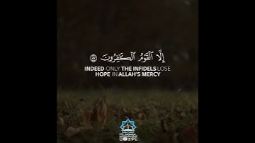 سورة يوسف ﴿ وَلَا تَيْأَسُوا مِن رَّوْحِ اللَّهِ ۖ﴾/محمد غزالي/حالات واتساب القران/حالات واتس دينية