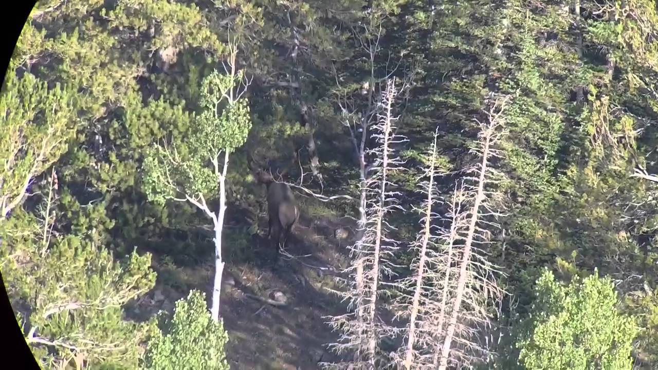 Phone Skope Go Pro Hero Product Review