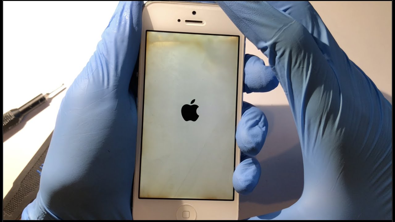 iPhone 5 Water Damage Restoration!