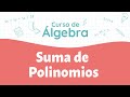 Quiz sobre Suma de Polinomios