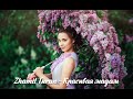 Zhamil Turan Красивая мадам 
