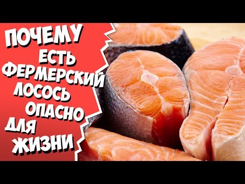 ПОЧЕМУ ЕСТЬ ФЕРМЕРСКИЙ ЛОСОСЬ ОПАСНО ДЛЯ ЖИЗНИ