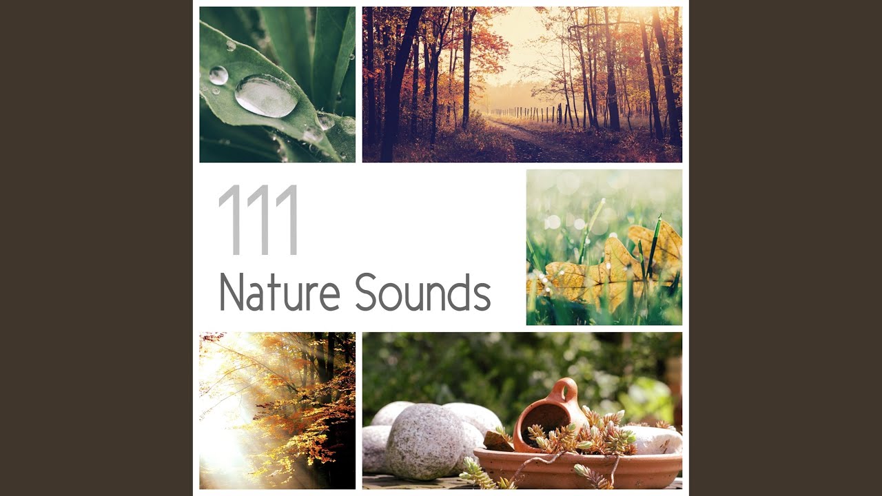 Whispering Wind: Meditation