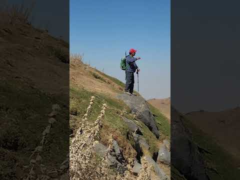 زخمهاتودست نزن تاخوب شن     شعر    