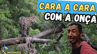 Download Lagu QUASE NÃO ACREDITAMOS… Uma Onça-Pintada Cruzou Nosso Caminho No Pantanal. T.03 EP.147 MP3 Download Lagu QUASE NÃO ACREDITAMOS… Uma Onça-Pintada Cruzou Nosso Caminho No Pantanal. T.03 EP.147 MP3