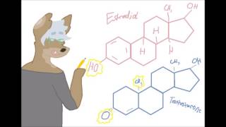Arts Magnet Bio - MacroMolecule Project