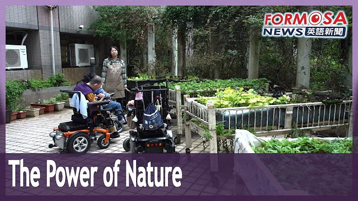 How plants are bringing healing to care patients｜Taiwan News - DayDayNews