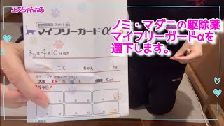 ノミマダニ駆除【マイフリーガードα】肩甲骨に滴下