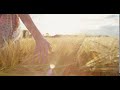 Close Up Of Woman S Hand Running Through Organic Wheat Field Steadicam Shot Slow Motion Girl S Ha 