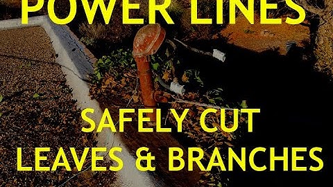 Power Lines - Safely Trim Leaves and Branches Around Your Home
