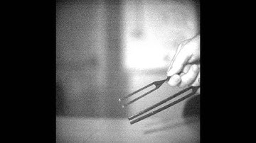 Tuning Forks - C Slow Motion Science @ 3000fps