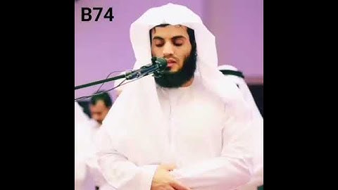 الشيخ رعد محمد الكردي ( ما تيسر من سورة الشعراء )
