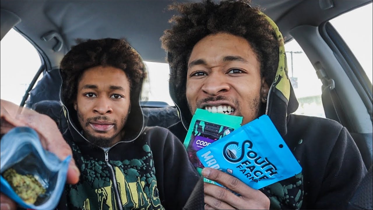 I STUFFED THIS KING PALM WITH PINEAPPLE BREEZE AND MENDO CRUMBLE