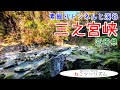 【猫と旅行】素掘りのトンネルと三之宮峡【宮崎県】
