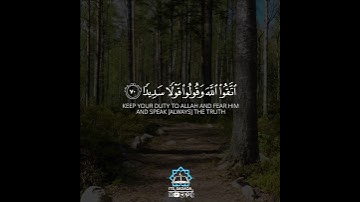 عمر بن جابر الرحال/لراحة قلبك♥️⛅️/ سورة الاحزاب /حالات واتساب القران/حالات واتس دينية
