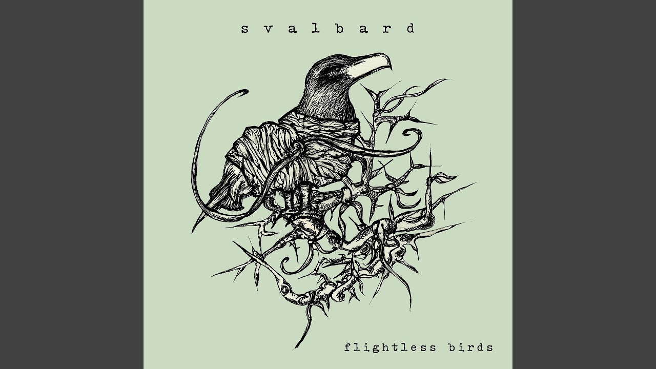 Watch Flightless Birds on YouTube Watch Flightless Birds on YouTube