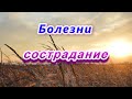 265. Болезни - сострадание. 2/2