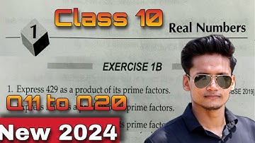 🔥 Class 10 Ex 1B Q11 to Q20 Real Numbers | RS Aggarwal | Chapter 1 in Hindi | 2024 | CBSE | ICSE |
